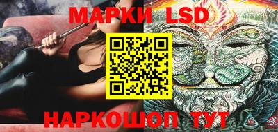 индика Обнинск