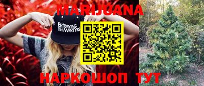 индика Обнинск