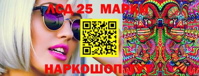 индика Обнинск